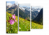 Austrian Alps, цветы