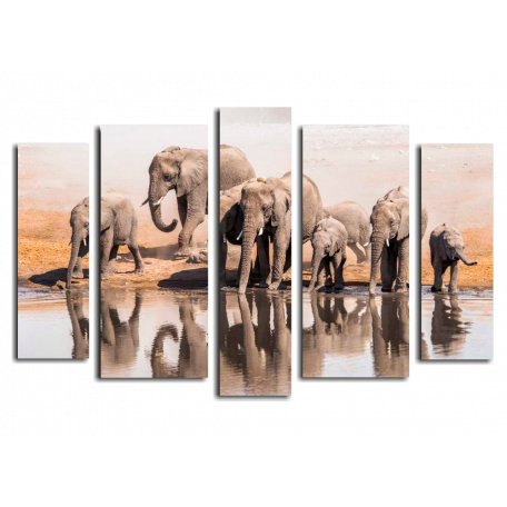 Африканские слоны 