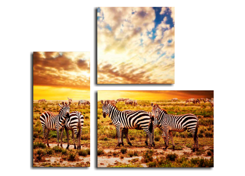 Модульные картины Африканские зебры
