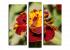 Бордовый цветок